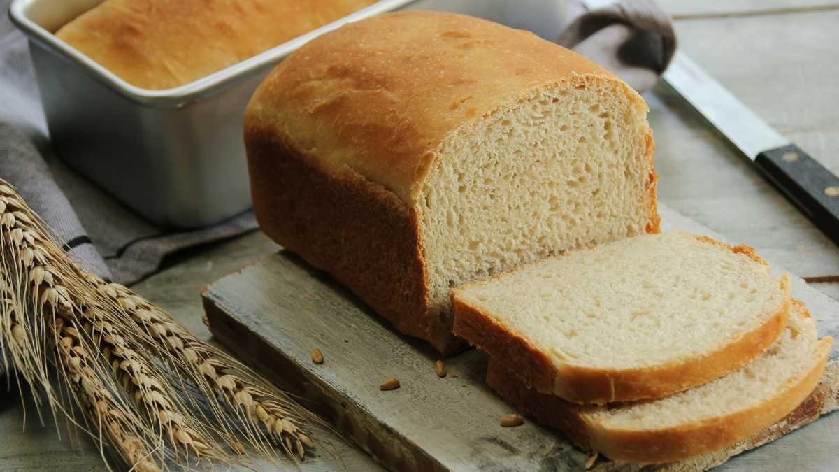 Pão de Forma Saudável: Receita Caseira, Macia e Nutritiva
