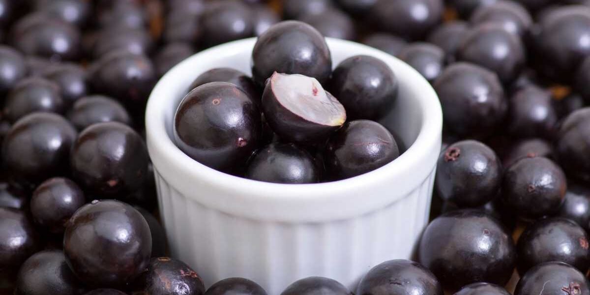 Licor de jabuticaba