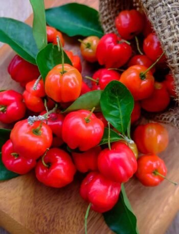 Suco de Acerola