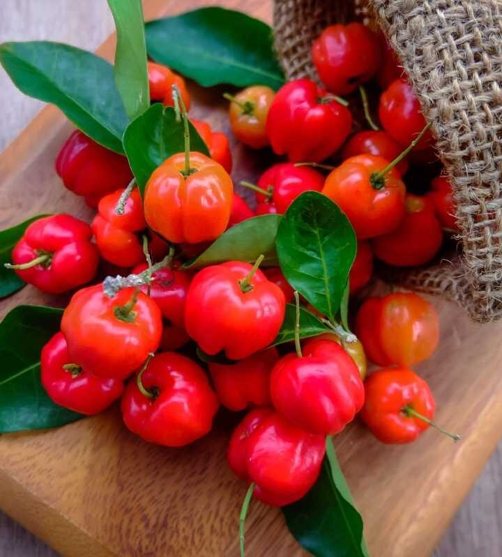 Suco de Acerola