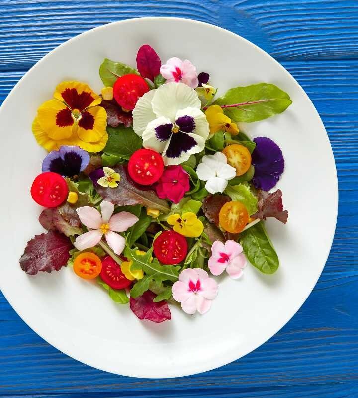 Flores que São Comestíveis e Você Não Sabia